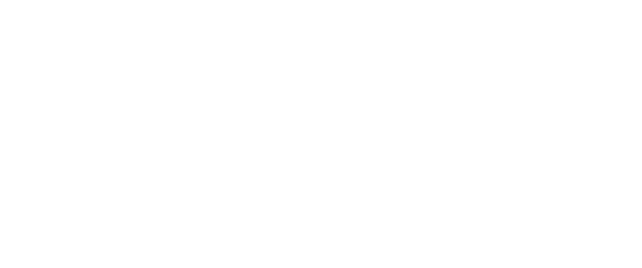 SVT2 HD